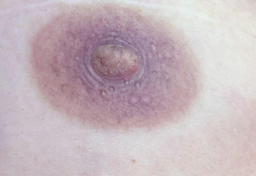 detalle-dibujo-tatuaje-de-areola-realista